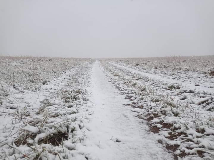 Өнөөдөр Дарьгангын тал нутгаар цас орно